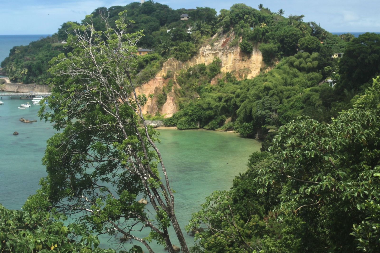 Green cliffs and a quiet bay on the Brazilian coast