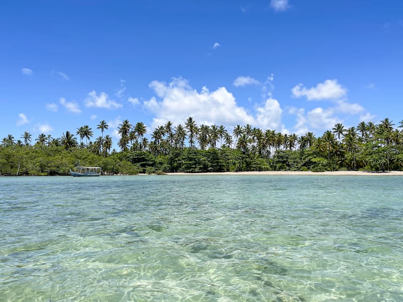 Clear shallow water and coconut palms at Bainema beach on Boipeba Island, Bahia