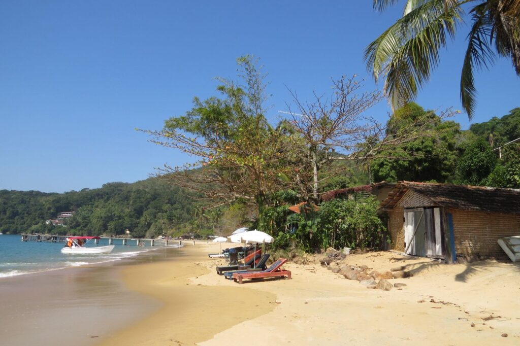Palm tree and calm turquoise sea on a beach of Ilha Grande