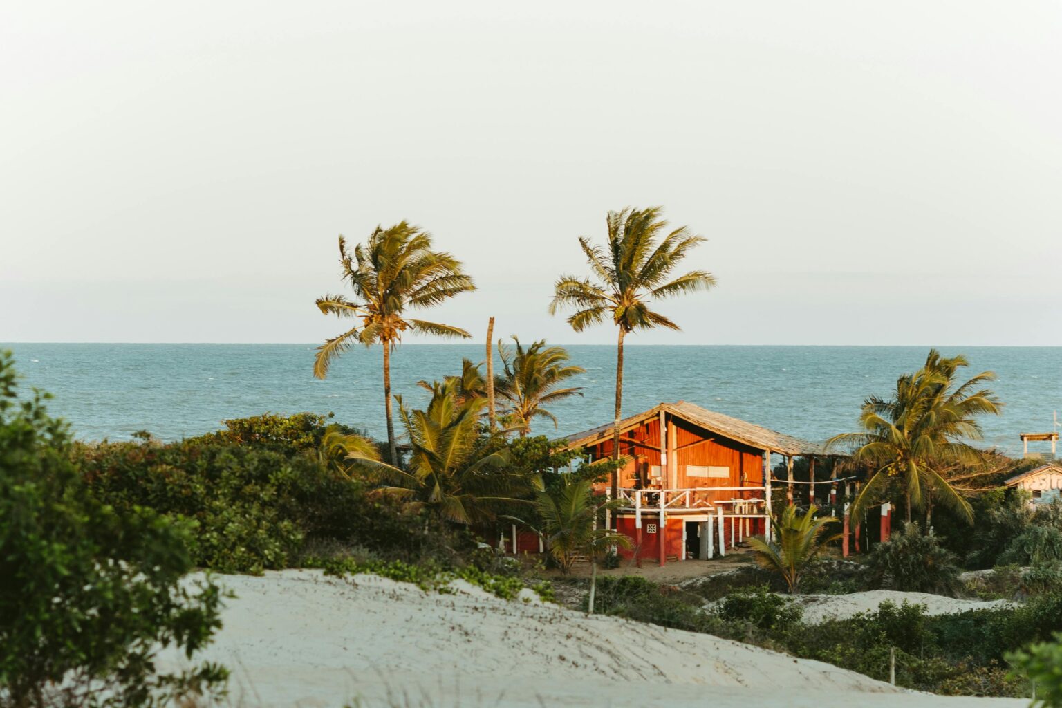 Palm trees and a wooden beach house on the dunes above the Atlantic Ocean in Brazil
