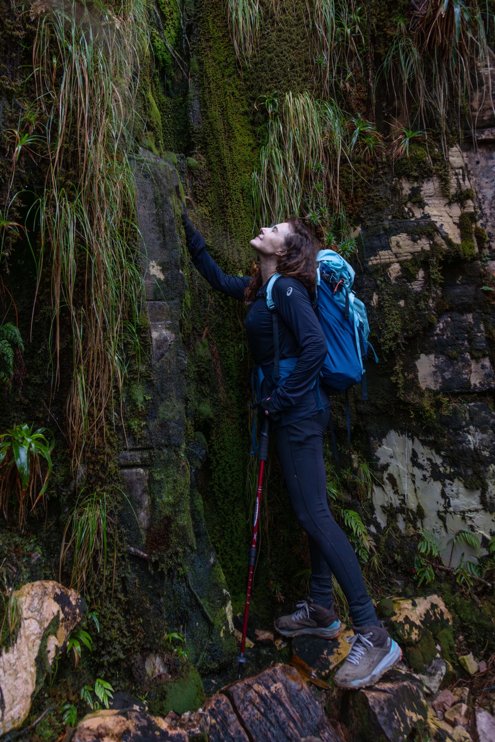 Trekker climbing along a wet, moss-covered rock wall on Mount Roraima