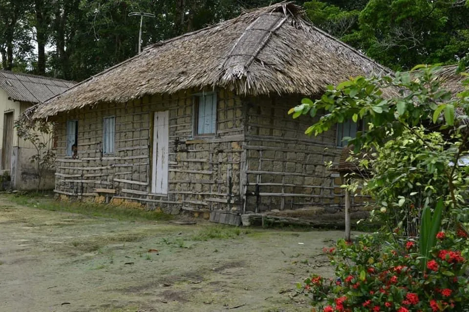 Amazon, Amazonas · Pará, Brazil